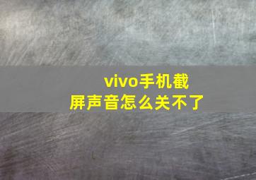 vivo手机截屏声音怎么关不了