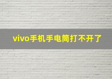 vivo手机手电筒打不开了