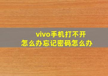 vivo手机打不开怎么办忘记密码怎么办