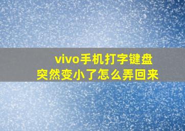 vivo手机打字键盘突然变小了怎么弄回来