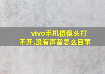 vivo手机摄像头打不开,没有声音怎么回事