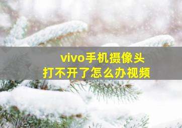 vivo手机摄像头打不开了怎么办视频