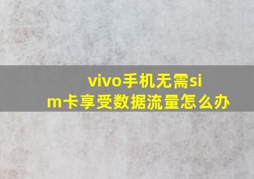 vivo手机无需sim卡享受数据流量怎么办