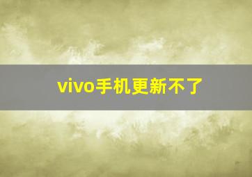 vivo手机更新不了