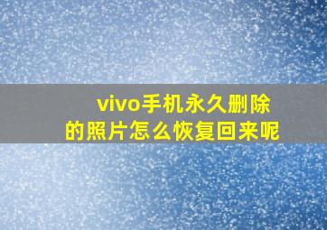 vivo手机永久删除的照片怎么恢复回来呢