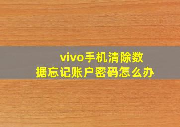 vivo手机清除数据忘记账户密码怎么办