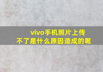 vivo手机照片上传不了是什么原因造成的呢