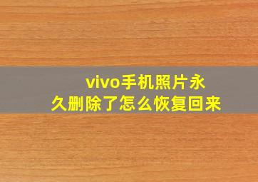 vivo手机照片永久删除了怎么恢复回来