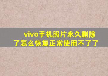 vivo手机照片永久删除了怎么恢复正常使用不了了