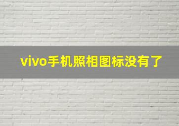 vivo手机照相图标没有了