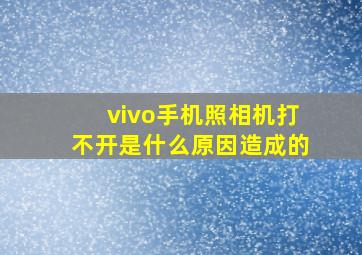 vivo手机照相机打不开是什么原因造成的