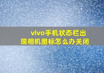 vivo手机状态栏出现相机图标怎么办关闭