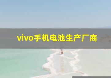 vivo手机电池生产厂商