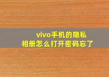 vivo手机的隐私相册怎么打开密码忘了