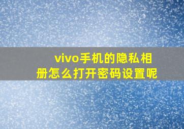 vivo手机的隐私相册怎么打开密码设置呢