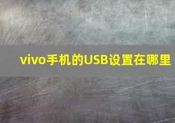 vivo手机的USB设置在哪里