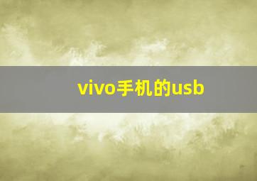 vivo手机的usb