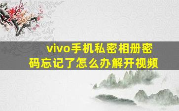 vivo手机私密相册密码忘记了怎么办解开视频