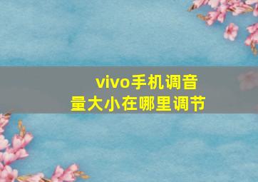 vivo手机调音量大小在哪里调节