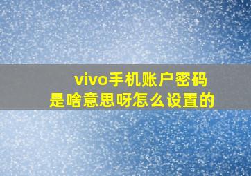 vivo手机账户密码是啥意思呀怎么设置的