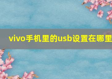 vivo手机里的usb设置在哪里