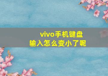 vivo手机键盘输入怎么变小了呢