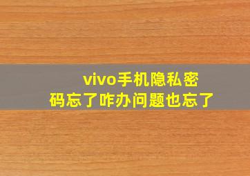 vivo手机隐私密码忘了咋办问题也忘了