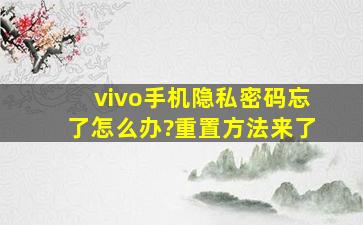 vivo手机隐私密码忘了怎么办?重置方法来了