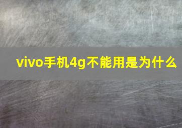 vivo手机4g不能用是为什么