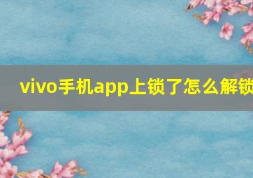 vivo手机app上锁了怎么解锁