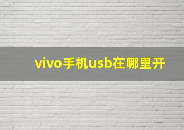 vivo手机usb在哪里开