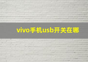 vivo手机usb开关在哪