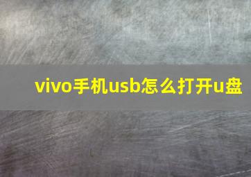 vivo手机usb怎么打开u盘