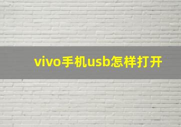 vivo手机usb怎样打开