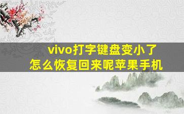 vivo打字键盘变小了怎么恢复回来呢苹果手机