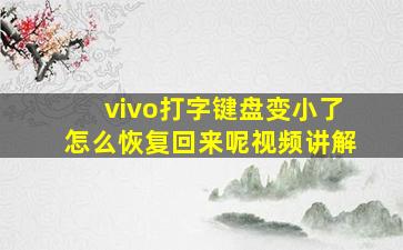 vivo打字键盘变小了怎么恢复回来呢视频讲解