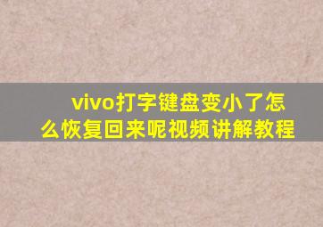 vivo打字键盘变小了怎么恢复回来呢视频讲解教程