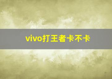 vivo打王者卡不卡