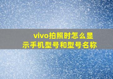 vivo拍照时怎么显示手机型号和型号名称