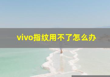 vivo指纹用不了怎么办