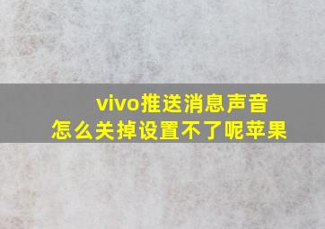 vivo推送消息声音怎么关掉设置不了呢苹果