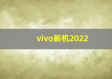 vivo新机2022