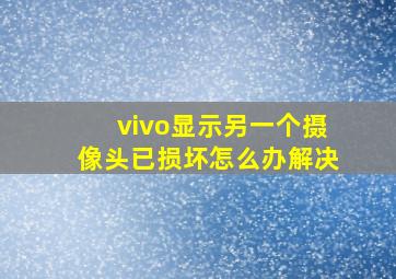 vivo显示另一个摄像头已损坏怎么办解决