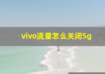 vivo流量怎么关闭5g