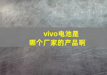 vivo电池是哪个厂家的产品啊