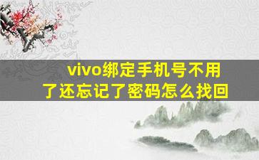 vivo绑定手机号不用了还忘记了密码怎么找回