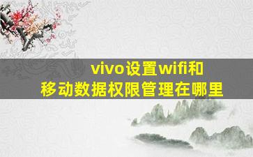 vivo设置wifi和移动数据权限管理在哪里