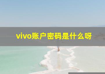 vivo账户密码是什么呀