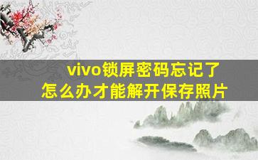 vivo锁屏密码忘记了怎么办才能解开保存照片