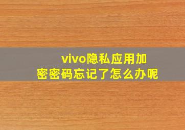 vivo隐私应用加密密码忘记了怎么办呢